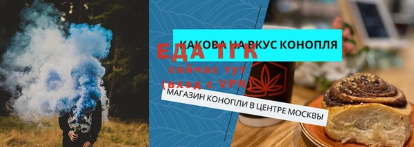 ECSTASY Богородицк