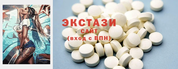 ECSTASY Богородицк