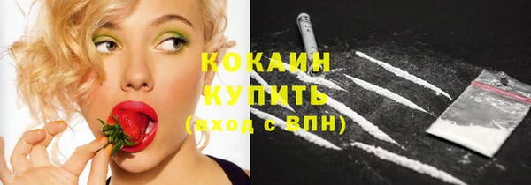 ECSTASY Богородицк